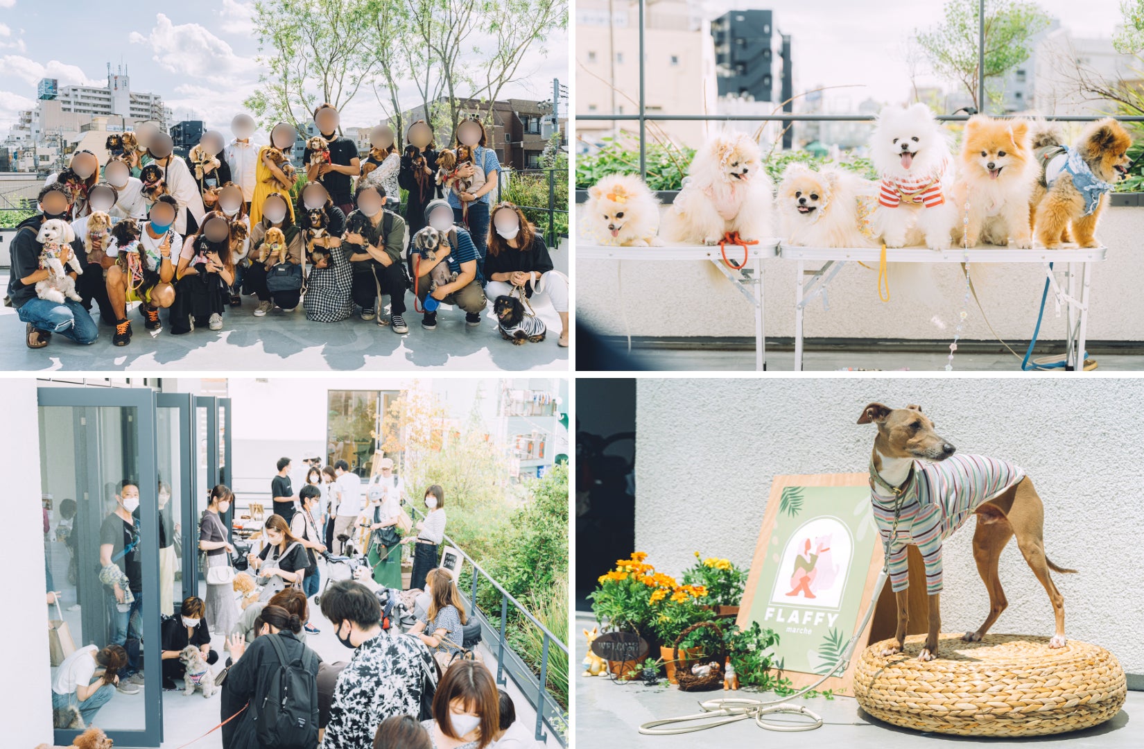 イヌもヒトも一緒に楽しめるイベント 『FLAFFY Marche vol.2』を2022年11月に大阪・東京にて開催のサブ画像2