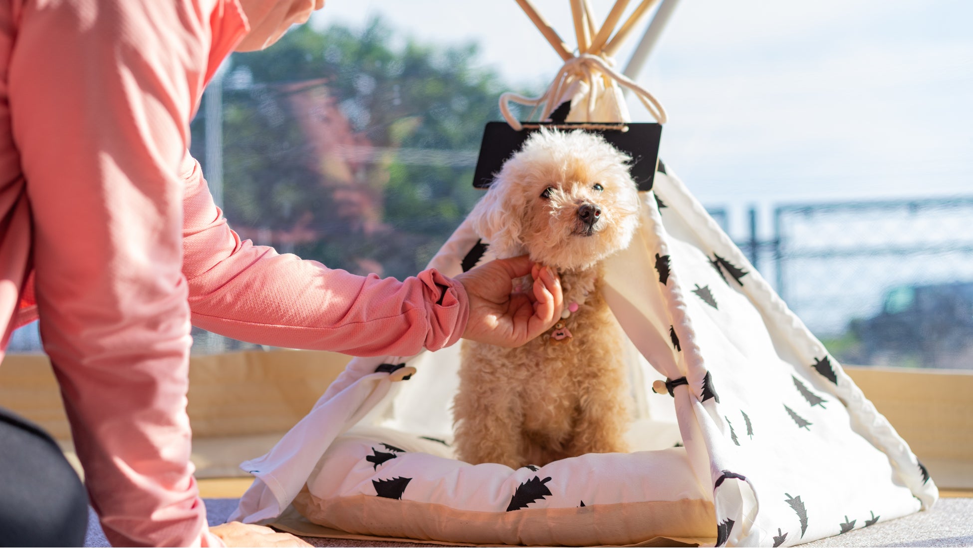 愛知県蒲郡市 愛犬と泊まれるグランピング【glampark 海陽閣】で巨大マシュマロ付「手ぶらで焚火グランピング」開始！のサブ画像5