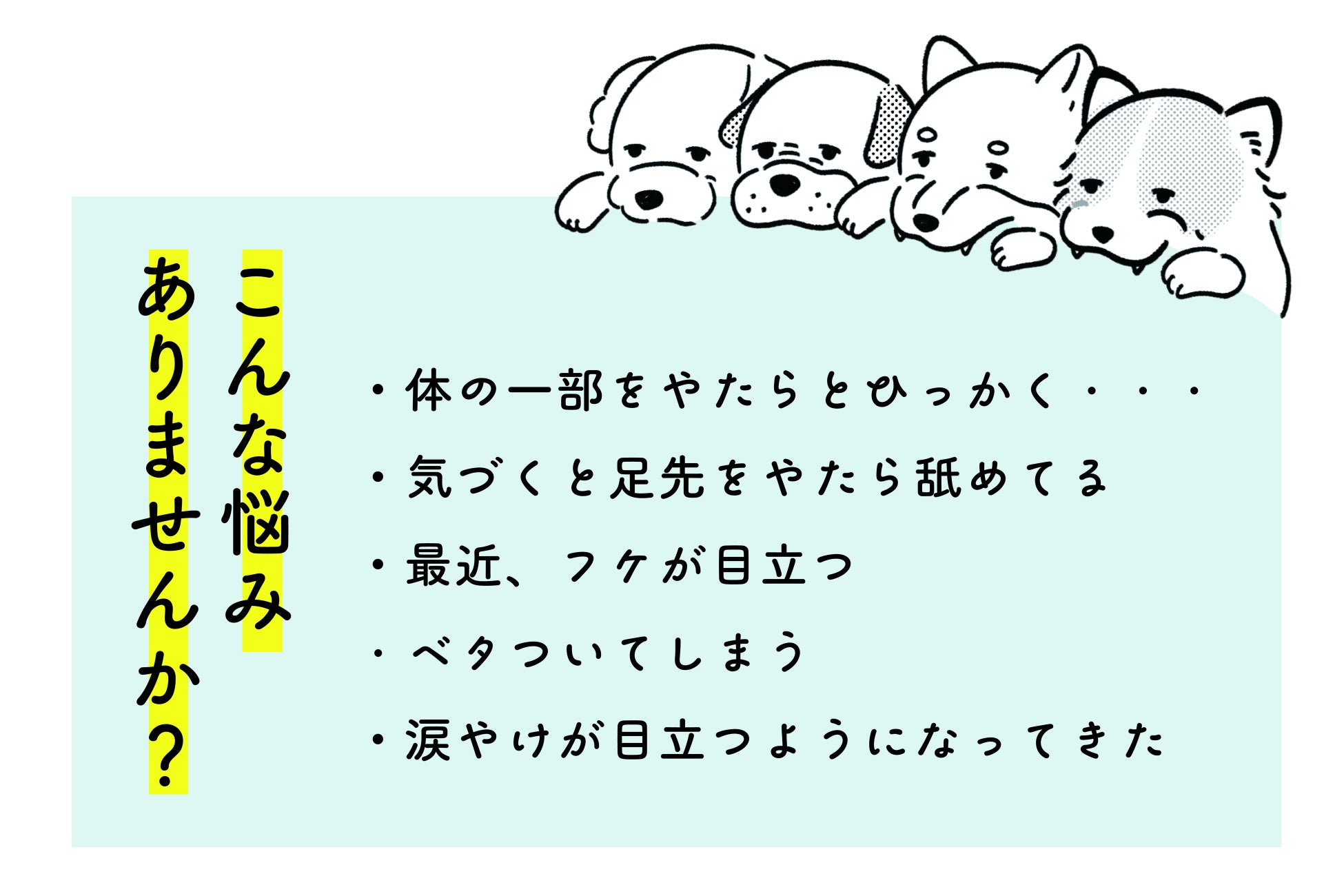 【新商品・毎日使える犬用の泡の保湿剤】初回生産分の販売をクラウドファンディングで募集開始のサブ画像2_ワンちゃんとの生活でこんなお悩みありませんか？