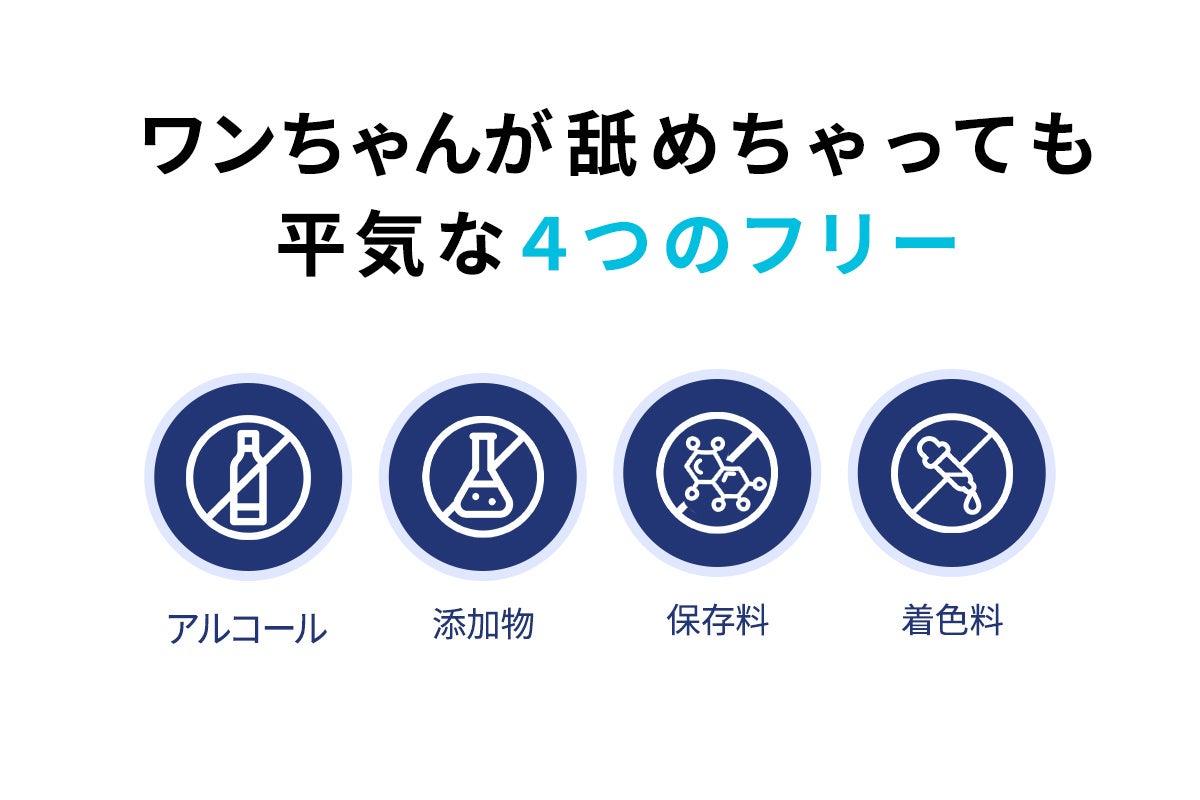 【新商品・毎日使える犬用の泡の保湿剤】初回生産分の販売をクラウドファンディングで募集開始のサブ画像5