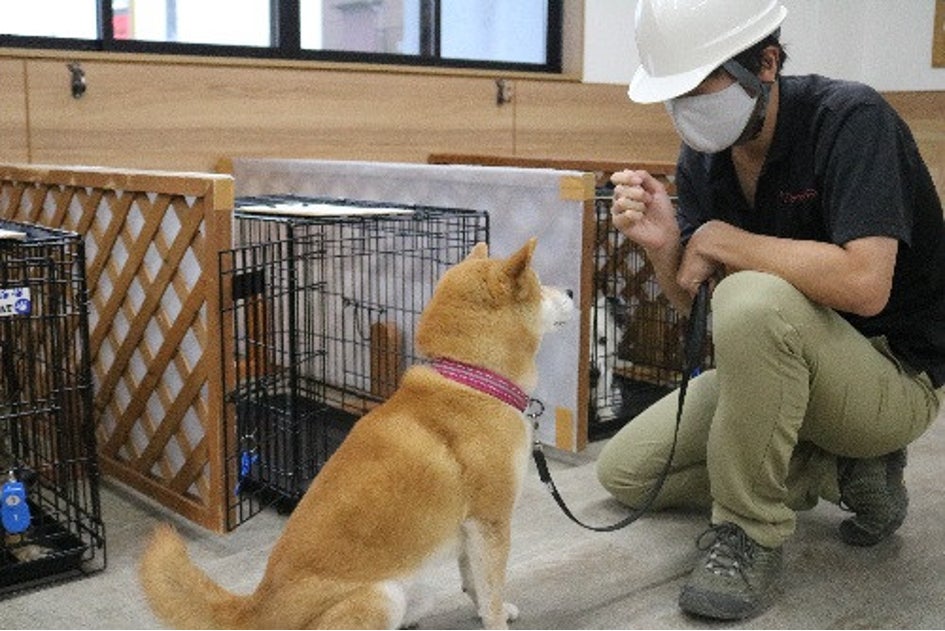 動物避難所を全国に。「うちトコ動物避難所マップ」1周年。全国9ヵ所の動物避難所と108ヵ所の啓発窓口が参加。のサブ画像2_登録施設である『NPO法人 人と動物の共生センター』による動物避難所開設訓練の様子