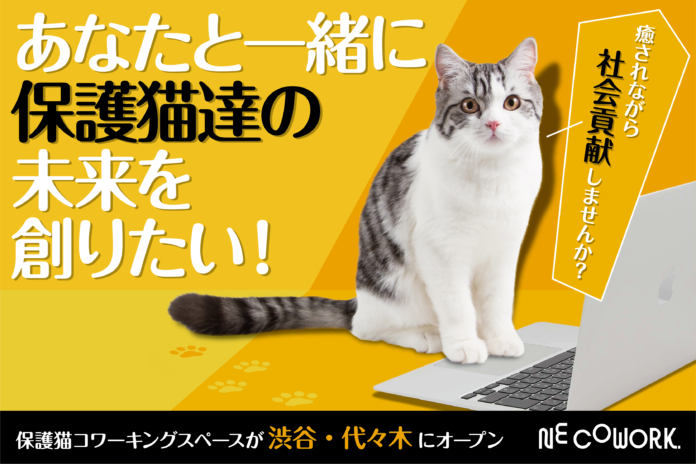 【渋谷区にオープン】保護猫活動をもっと身近に、持続可能にしていく為に。保護猫をみまもるコワーキングスペース「NE COWORK.」クラウドファンディングを開始。のメイン画像