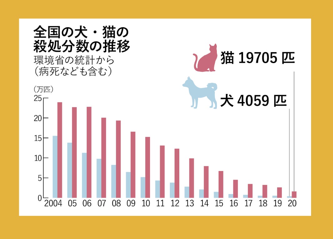 【渋谷区にオープン】保護猫活動をもっと身近に、持続可能にしていく為に。保護猫をみまもるコワーキングスペース「NE COWORK.」クラウドファンディングを開始。のサブ画像2