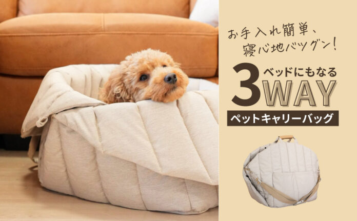 【先行販売初日で200万超え】犬用ベッドとバッグはこれ一つでOK！『3WAYペットキャリー』の先行予約販売を開のメイン画像