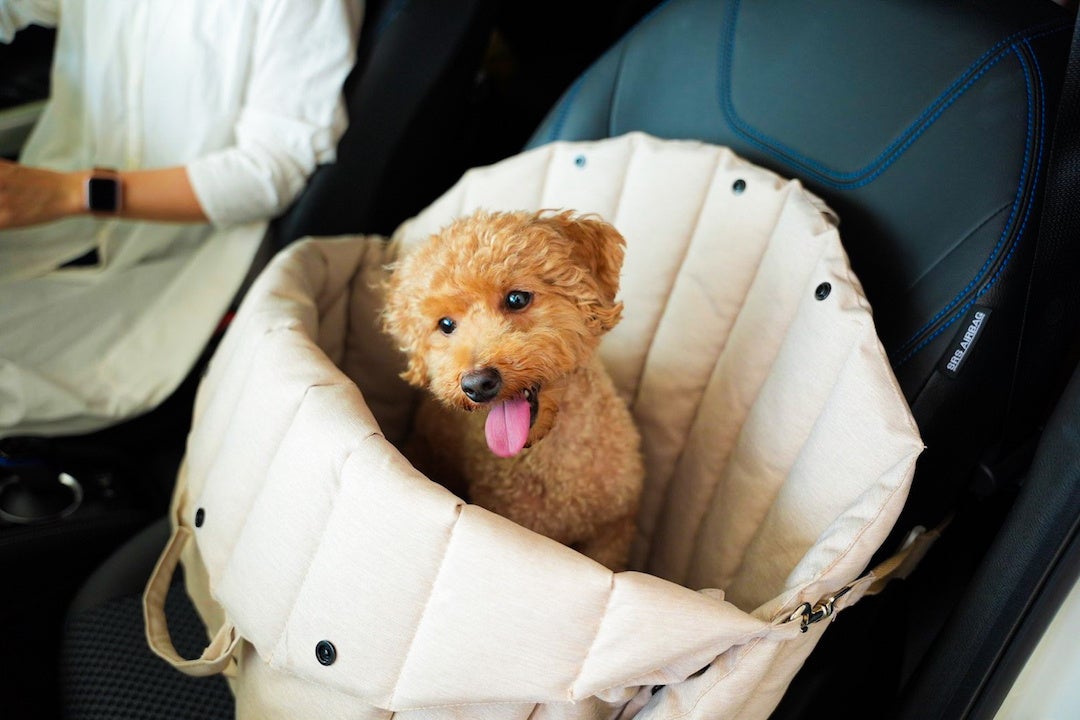 【先行販売初日で200万超え】犬用ベッドとバッグはこれ一つでOK！『3WAYペットキャリー』の先行予約販売を開のサブ画像5