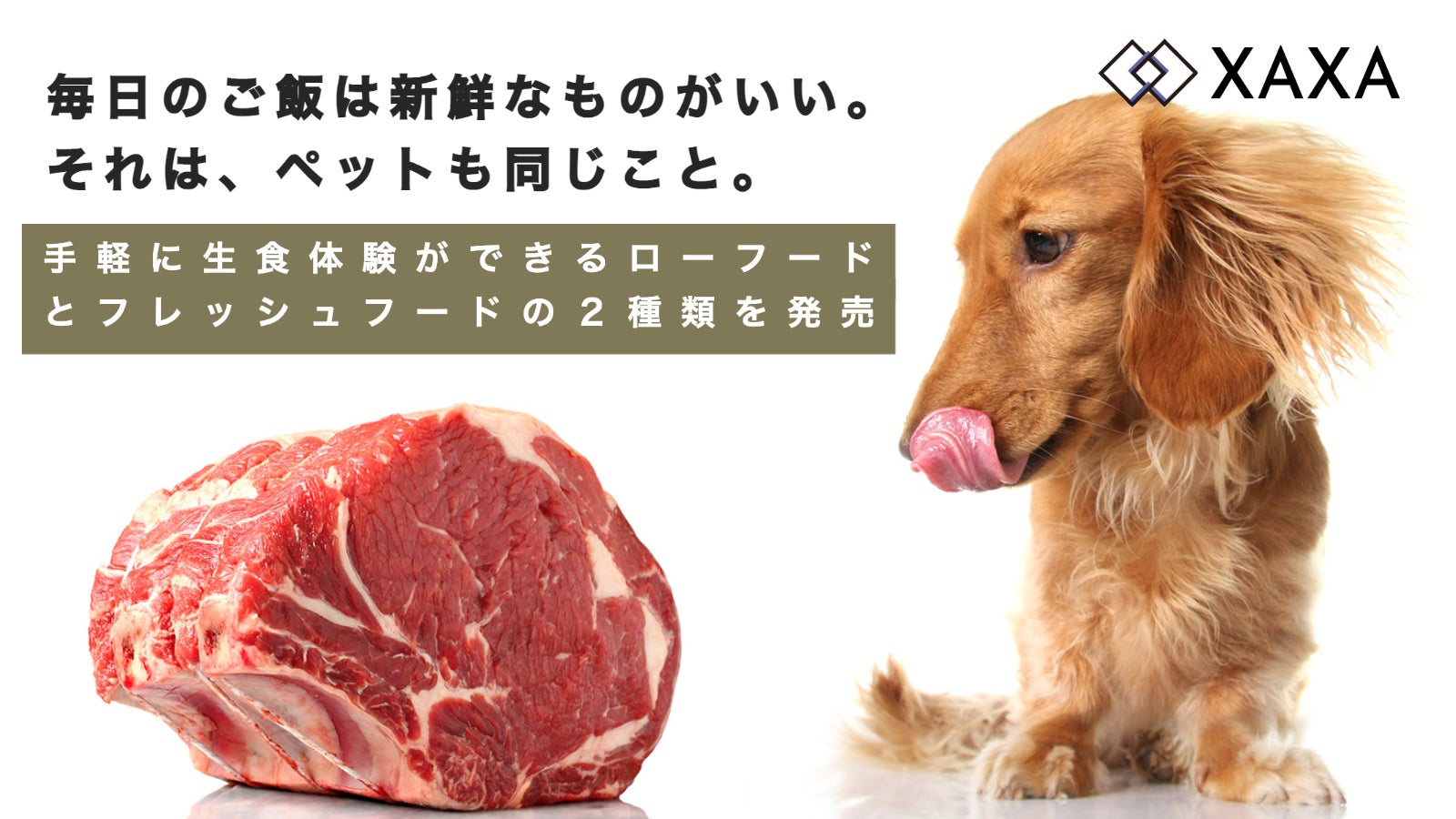 【11/11(金)発売の新商品】株式会社XAXA 次世代フード「ザザプレミアムペットフード」の先行販売をMakuakeで開始のサブ画像2
