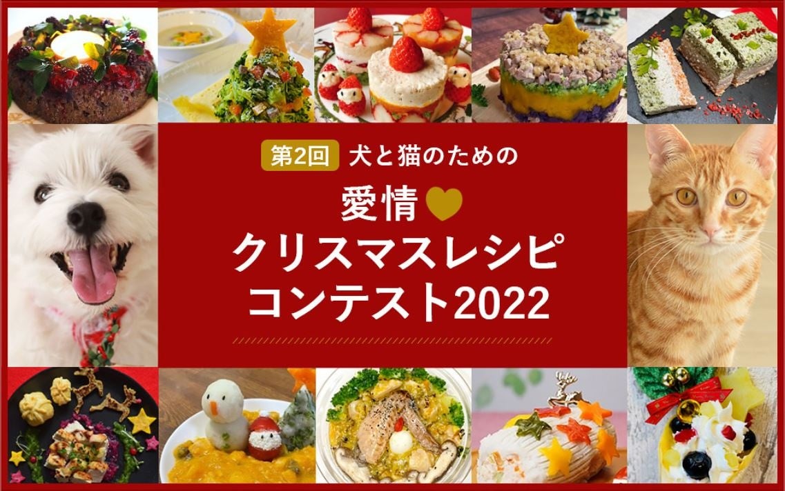 ペットの食事の専門家資格・ペットフーディストがスキルを競う『犬と猫の愛情クリスマスレシピコンテスト2022』開催！のサブ画像1