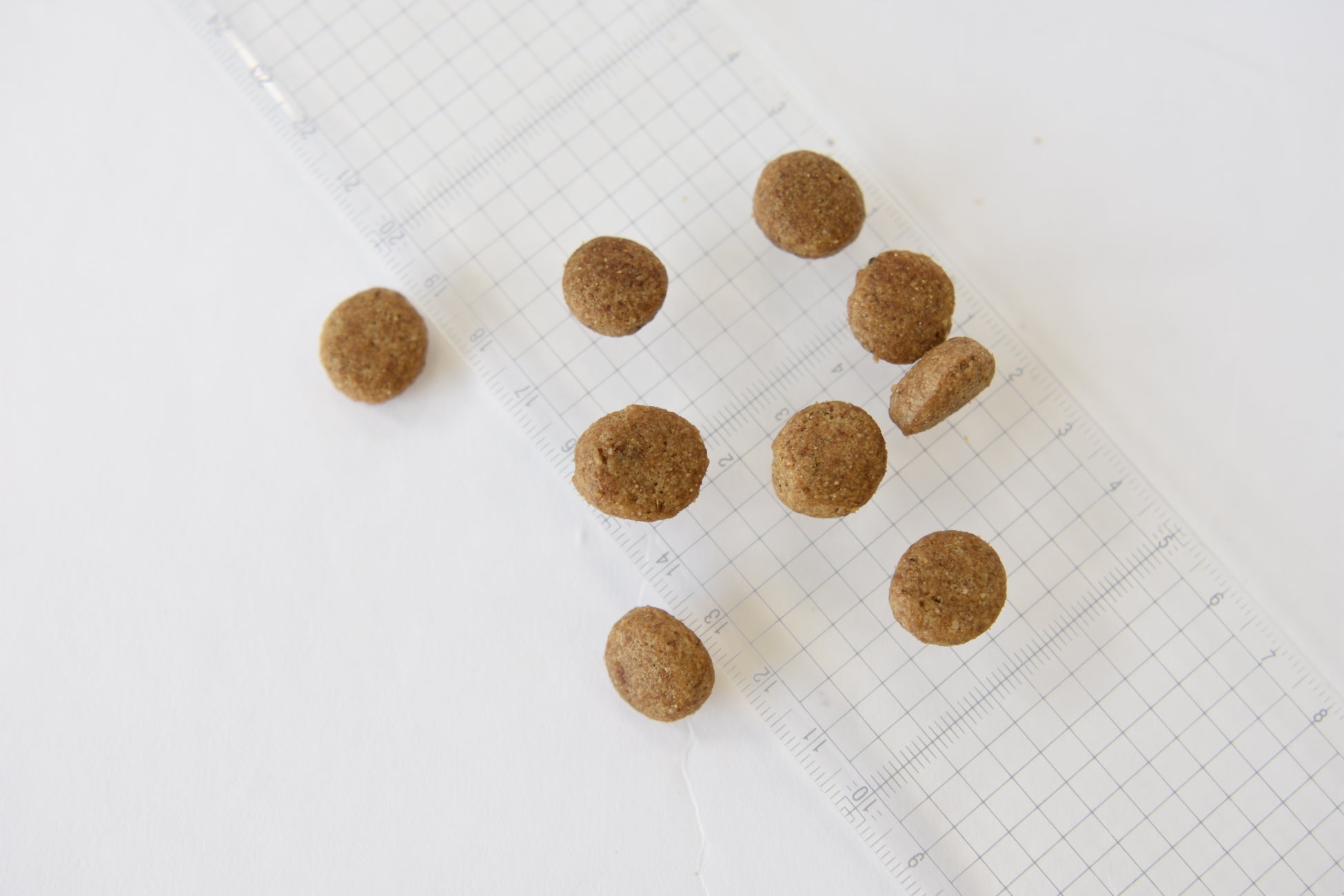 SANIMED（サニメド）サスティナビリティにも配慮した、消化器ケア用療法食が新登場！のサブ画像4