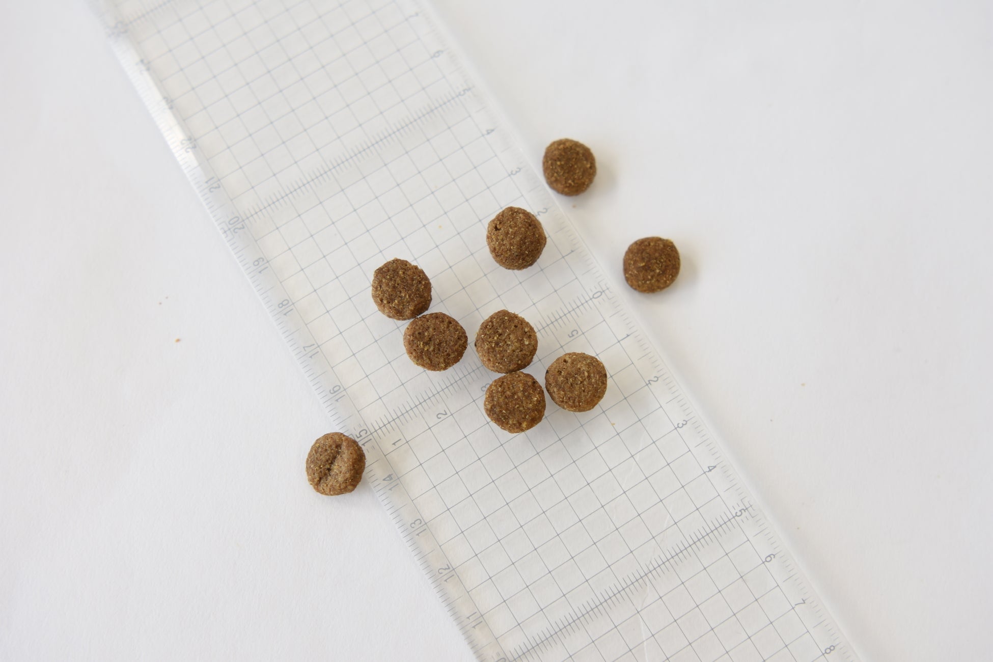 SANIMED（サニメド）待望の脳ケア用療法食が新登場！のサブ画像3