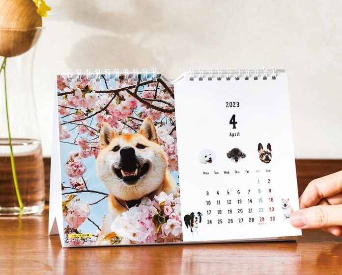 犬が「わらう」と人も「わらう」“わらう犬”の応募写真総数2,200枚以上「みんなとつくった　今日もにこにこ！わらう犬カレンダー2023」で新年度を毎月・毎日「わらう」日にのメイン画像