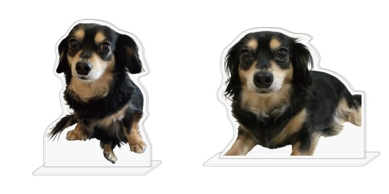 【チワックスひより×ヴィレッジヴァンガード】～コラボグッズ発売決定！！～のサブ画像10