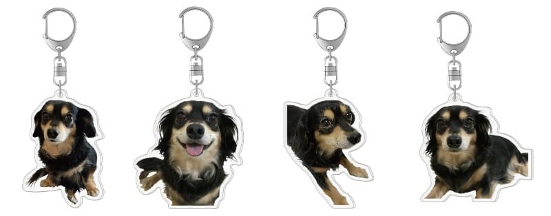 【チワックスひより×ヴィレッジヴァンガード】～コラボグッズ発売決定！！～のサブ画像9
