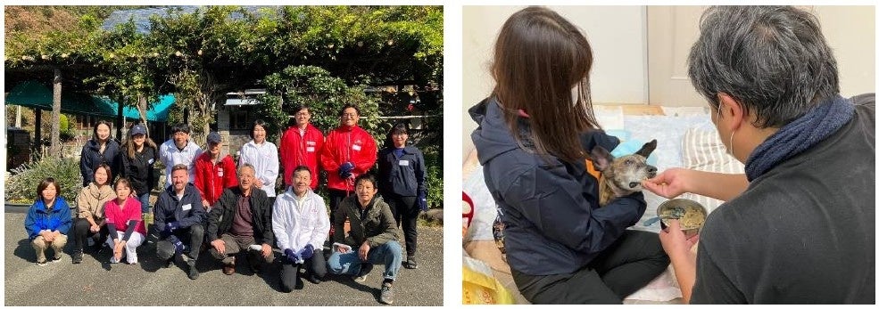 ロイヤルカナン ジャポン、保護犬・猫シェルターでボランティア活動を実施のサブ画像1
