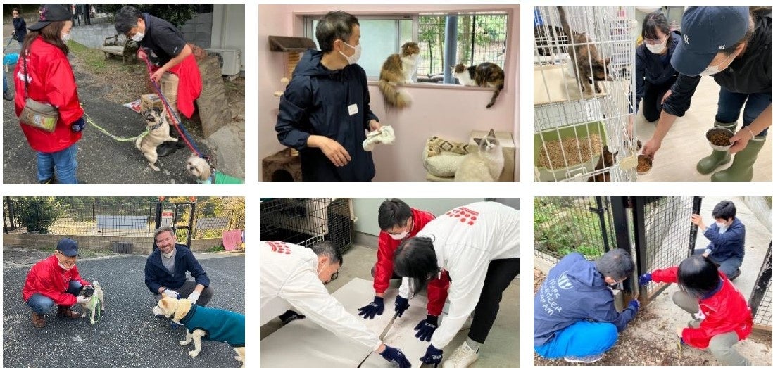 ロイヤルカナン ジャポン、保護犬・猫シェルターでボランティア活動を実施のサブ画像2