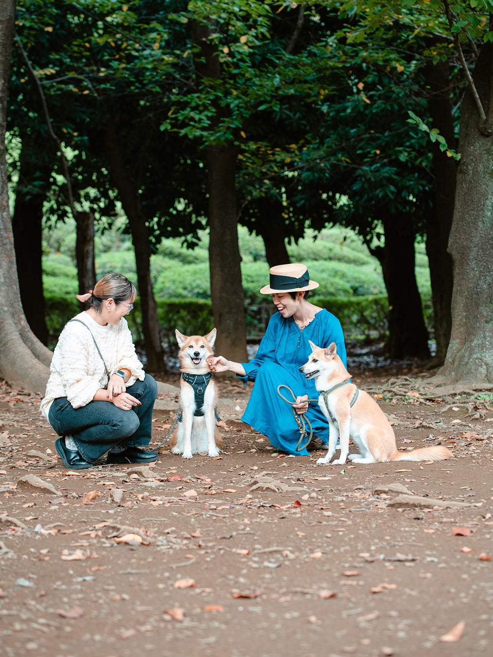 一冊まるごと「保護犬」ムック、第2弾がいよいよ発売です！のサブ画像3_平澤まりこさんとペッカが学ぶ　　　　　　　　　　　　　　　保護犬と触れ合うためのはじめましての作法