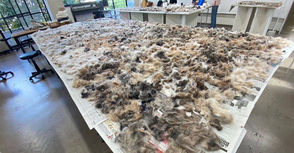 ペットオーナー約600名参加！犬ちゃん猫ちゃんの抜け毛で作ったアート作品をGOGODOGFESにて展示のサブ画像2