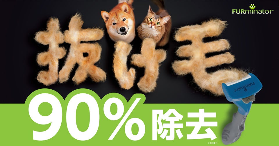 ペットオーナー約600名参加！犬ちゃん猫ちゃんの抜け毛で作ったアート作品をGOGODOGFESにて展示のサブ画像4
