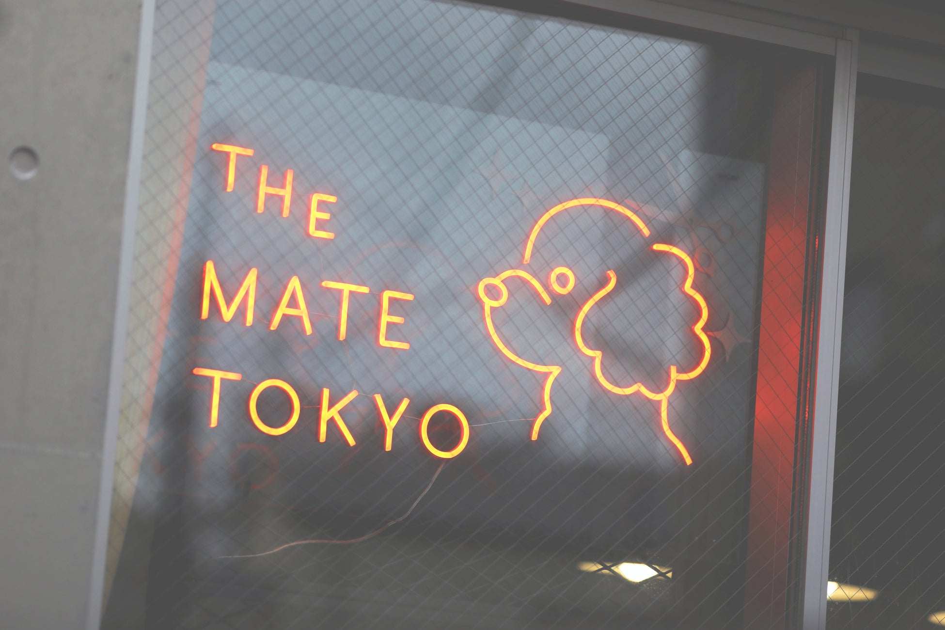 ワンちゃんのお肌に着目した新ブランド「The Mate Tokyo」が誕生！のサブ画像12