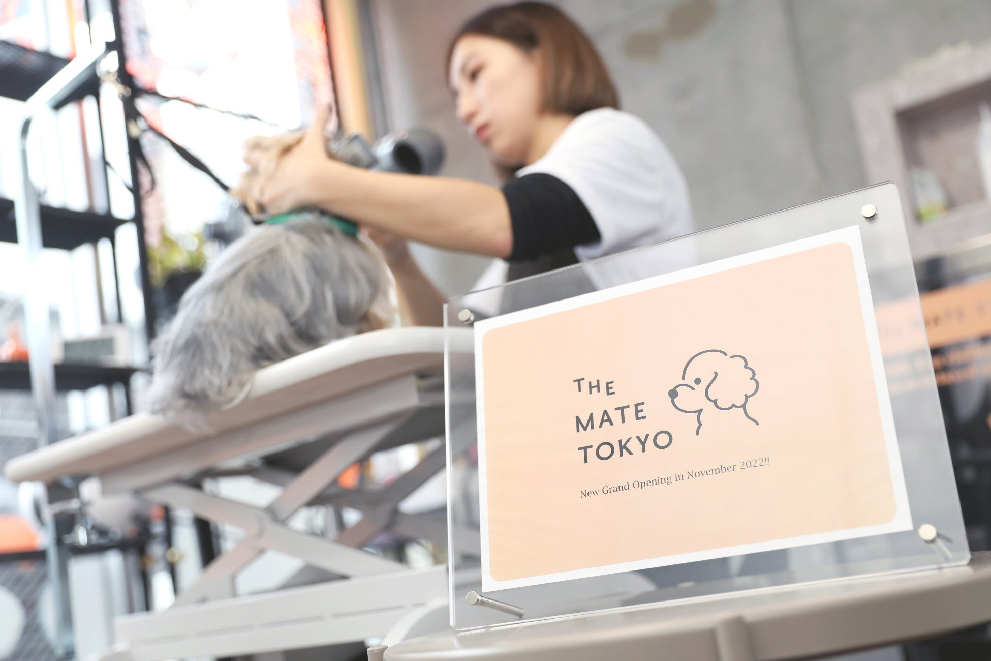 ワンちゃんのお肌に着目した新ブランド「The Mate Tokyo」が誕生！のサブ画像9