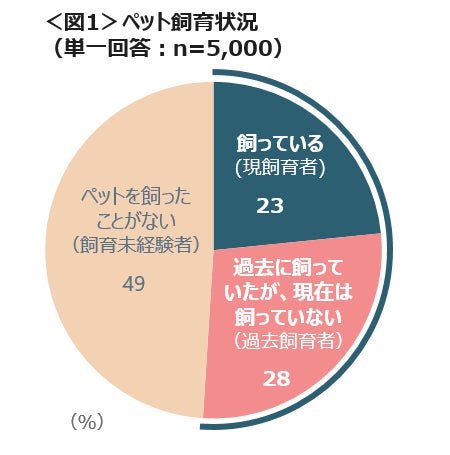 ペットは家族同然「お墓・供養」「保険」のサービス利用意向が上位　「留守にできない」「ペットロス」「病気が心配」が飼育のお困りごとのサブ画像2