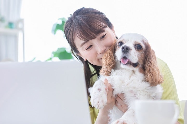 人と犬とのよりよい社会を願って。『第1回 いぬ検定』来年3月にオンラインで一斉開催！申込受付を開始！のサブ画像2