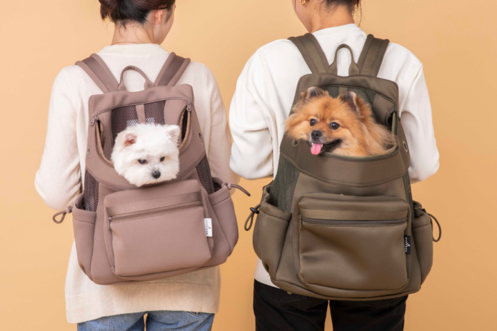 都会的で洗練されたデザインを提案する「CITYDOG」から愛犬との日常がより楽しくなる秋冬の新作が登場！「キルティングボアコート」「ネオプレーンバックパックキャリー」のメイン画像