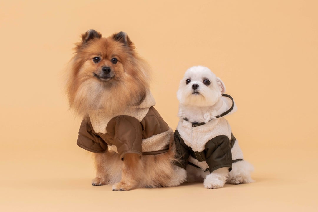 都会的で洗練されたデザインを提案する「CITYDOG」から愛犬との日常がより楽しくなる秋冬の新作が登場！「キルティングボアコート」「ネオプレーンバックパックキャリー」のサブ画像2