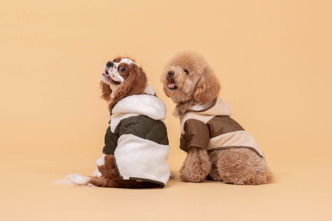 都会的で洗練されたデザインを提案する「CITYDOG」から愛犬との日常がより楽しくなる秋冬の新作が登場！「キルティングボアコート」「ネオプレーンバックパックキャリー」のサブ画像3