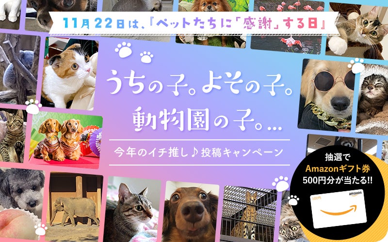 【投稿キャンペーン】『うちの子。よその子。動物園の子。...今年のイチ推し♪』投稿キャンペーン始めます。のサブ画像1_『うちの子。よその子。動物園の子。...今年のイチ推し♪』投稿キャンペーン
