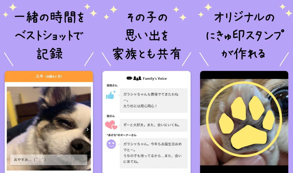 【投稿キャンペーン】『うちの子。よその子。動物園の子。...今年のイチ推し♪』投稿キャンペーン始めます。のサブ画像2_ペットのフォト動画アルバム『うちのクロ』