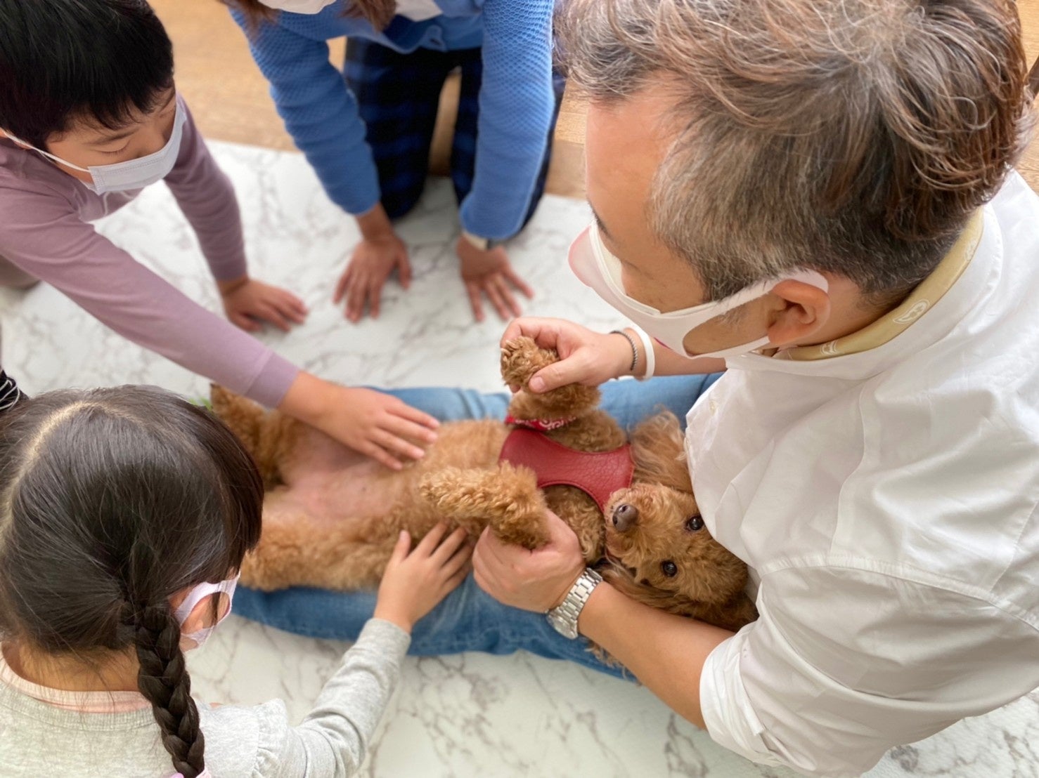 【愛犬と一緒に、小学校で社会貢献活動】６か月の養成講座がスタートのサブ画像1