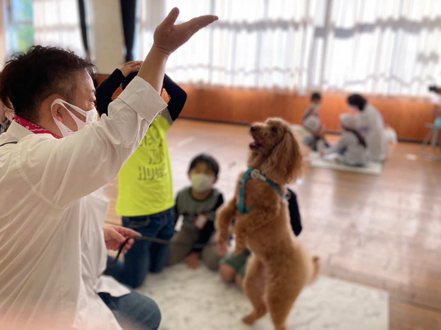 【愛犬と一緒に、小学校で社会貢献活動】６か月の養成講座がスタートのサブ画像3
