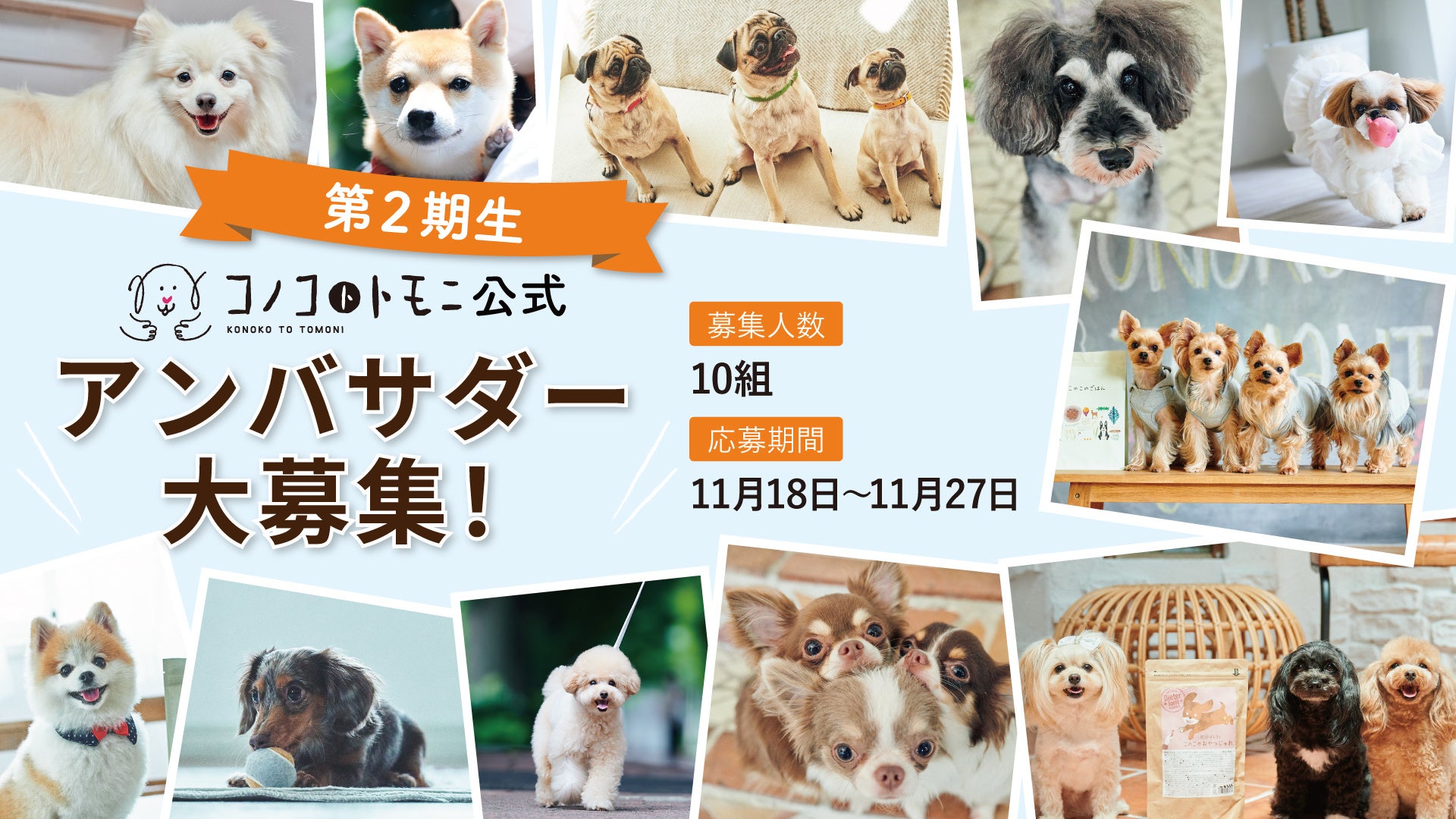 本日11月18日（金）よりエントリー開始！ペットフードブランド「コノコトトモニ」が第2期公式アンバサダーを募集！【株式会社オモヤ】のサブ画像1