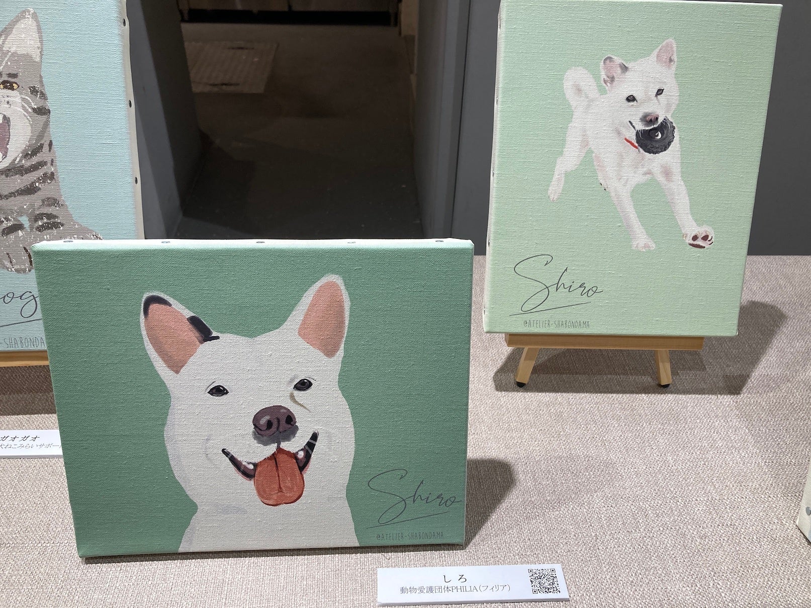 保護犬猫チャリティグッズショップ＆コミュニティスペース「ジョートフルーム」、11月16日サクラマチクマモトにグランドオープン！のサブ画像5