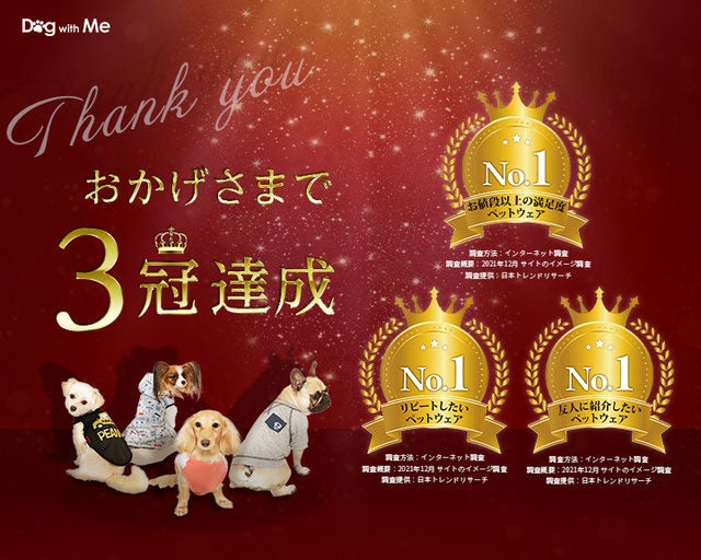 Makuakeにて先⾏販売！Disney公式ライセンス【犬をダメにするBIGクッション】愛犬との寛ぎタイムのサブ画像15