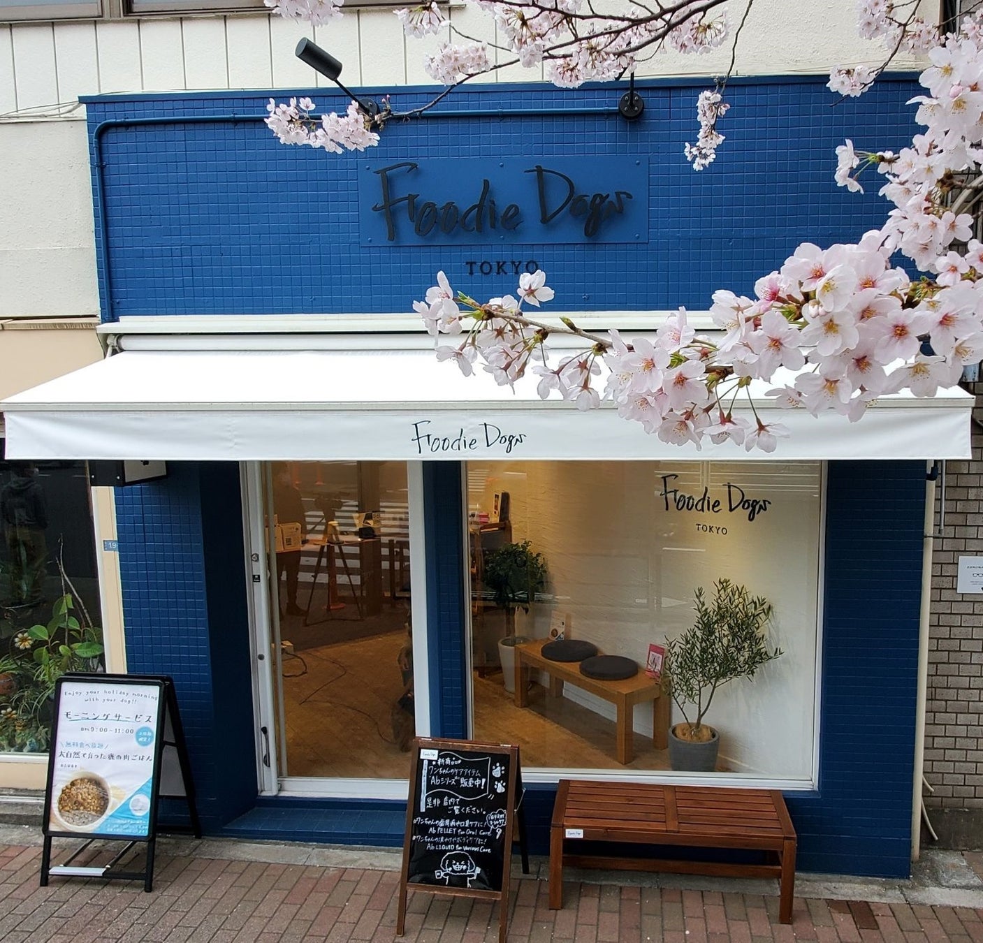 プレミアムドッグフードを展開するブランドFoodie Dogs TOKYO_数量限定！ワンちゃんのためのクリスマスケーキ「さつまいもとかぼちゃのルージュ ド ノエル」の予約受付を開始！のサブ画像5