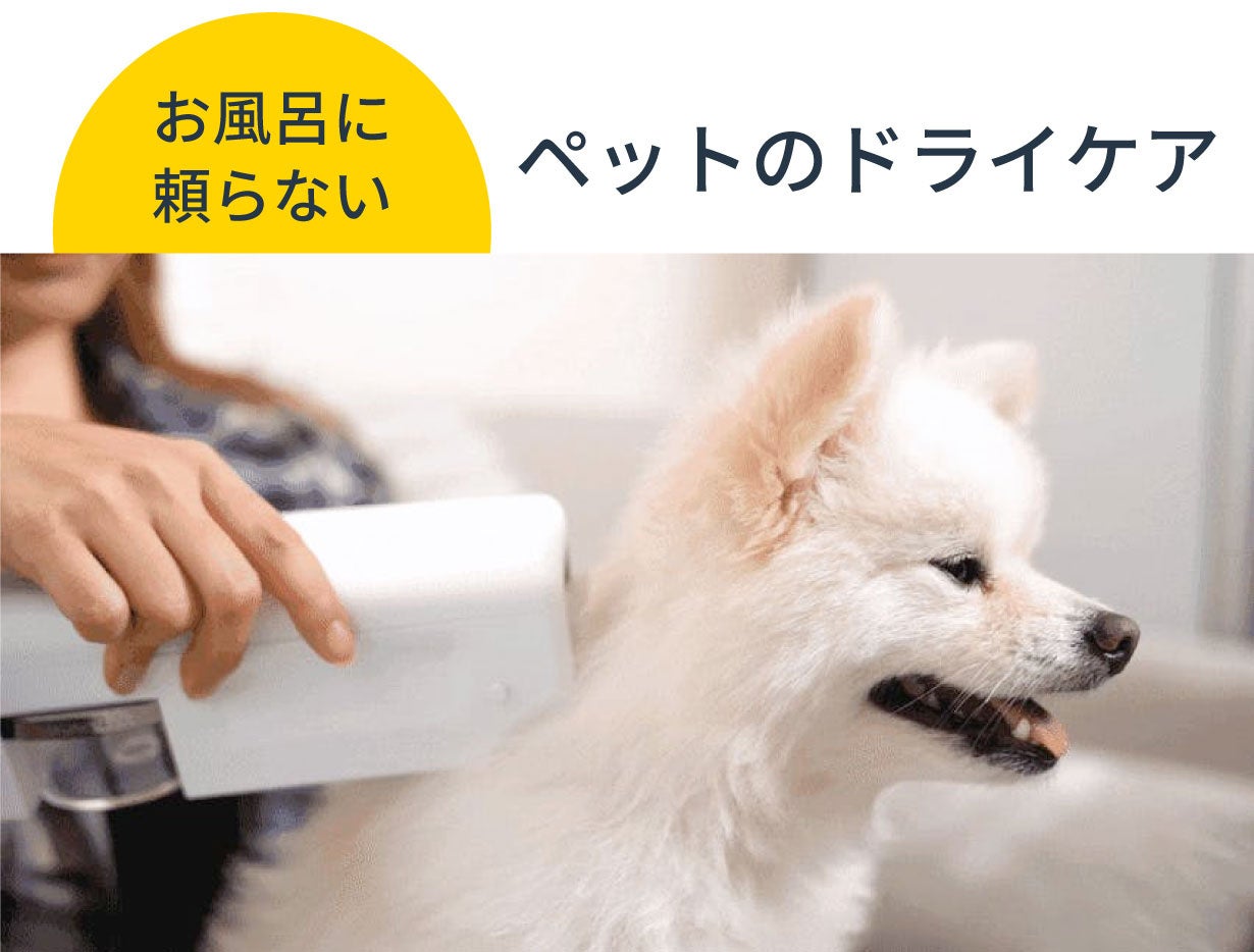 ペットのノミ・花粉・抜け毛を93%取り除く！「スマート電動ブラシ Hygiene」がCAMPFIREにて先行発売開始！のサブ画像3