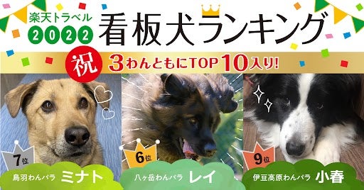 楽天トラベル発表の2022年 全国の宿 自慢の「看板犬ランキング」にてわんわんパラダイスの看板犬が3頭揃ってTOP10入りいたしました！のサブ画像1