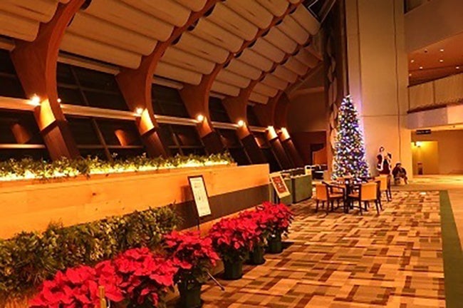 【セラヴィリゾート泉郷】6年ぶりの休日クリスマスはリゾートで特別なひとときを。のサブ画像8