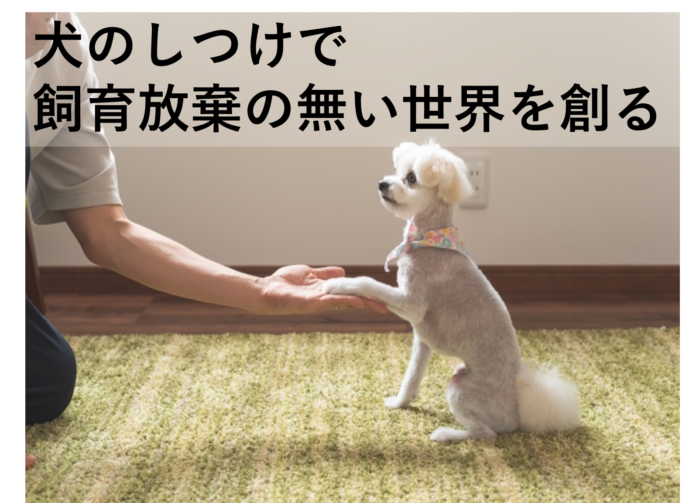 【飼育放棄を無くしたい】オンラインしつけプラットフォーム「イヌトレ」クラウドファンディング開始のお知らせのメイン画像