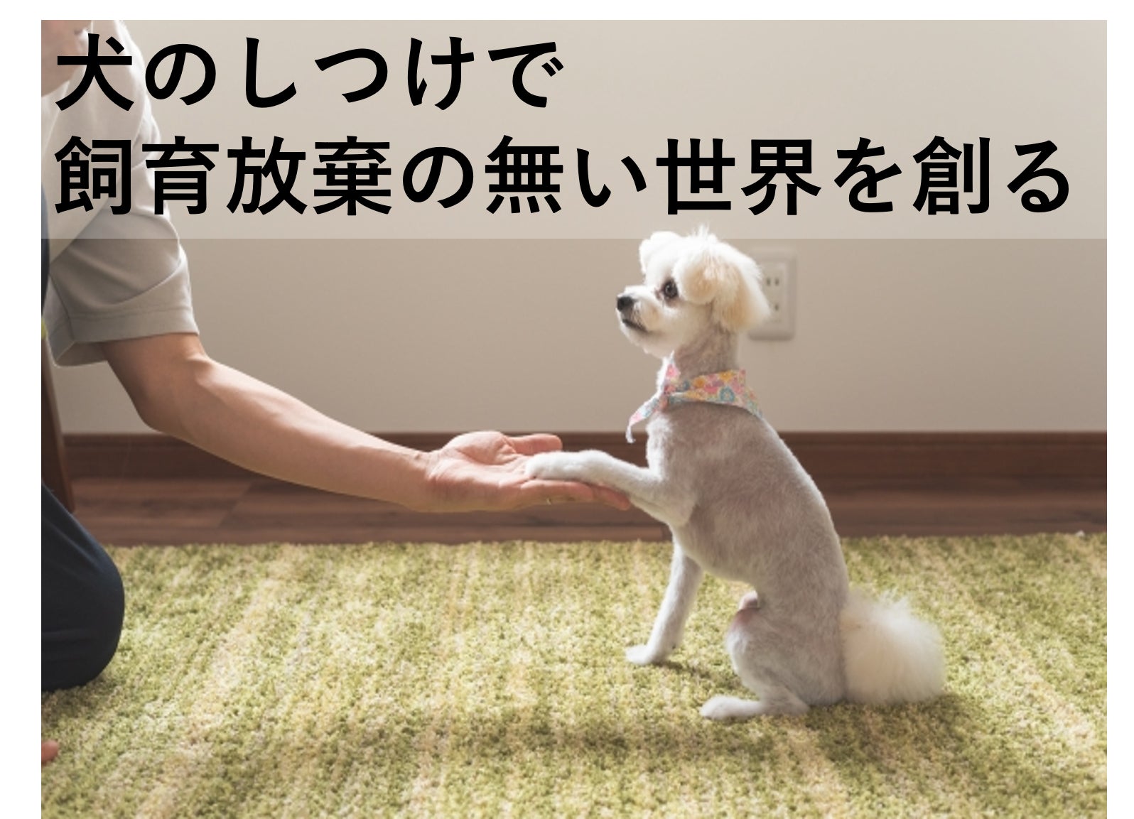 【飼育放棄を無くしたい】オンラインしつけプラットフォーム「イヌトレ」クラウドファンディング開始のお知らせのサブ画像1