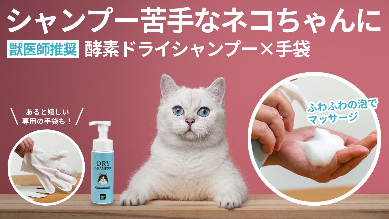 シャンプーが苦手な猫ちゃんへ！　獣医師推奨の「酵素ドライシャンプー×専用手袋」応援購入サービスMakuakeにて先行販売開始のサブ画像1