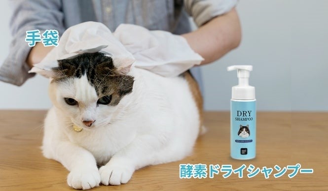 シャンプーが苦手な猫ちゃんへ！　獣医師推奨の「酵素ドライシャンプー×専用手袋」応援購入サービスMakuakeにて先行販売開始のサブ画像6