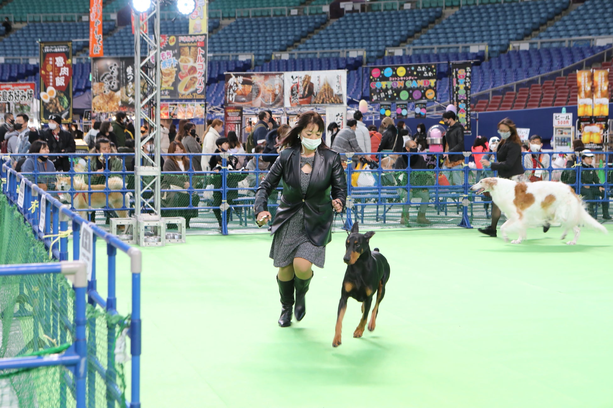 わんにゃんドーム2023のサブ画像4