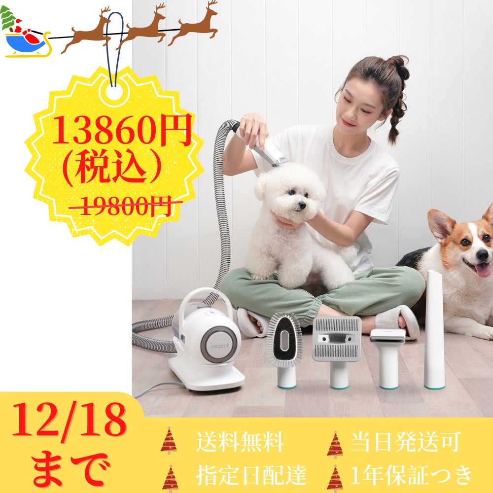 寒さ対策！ペットも飼い主も喜ぶプレゼント｜自宅でペットグルーミングのサブ画像1