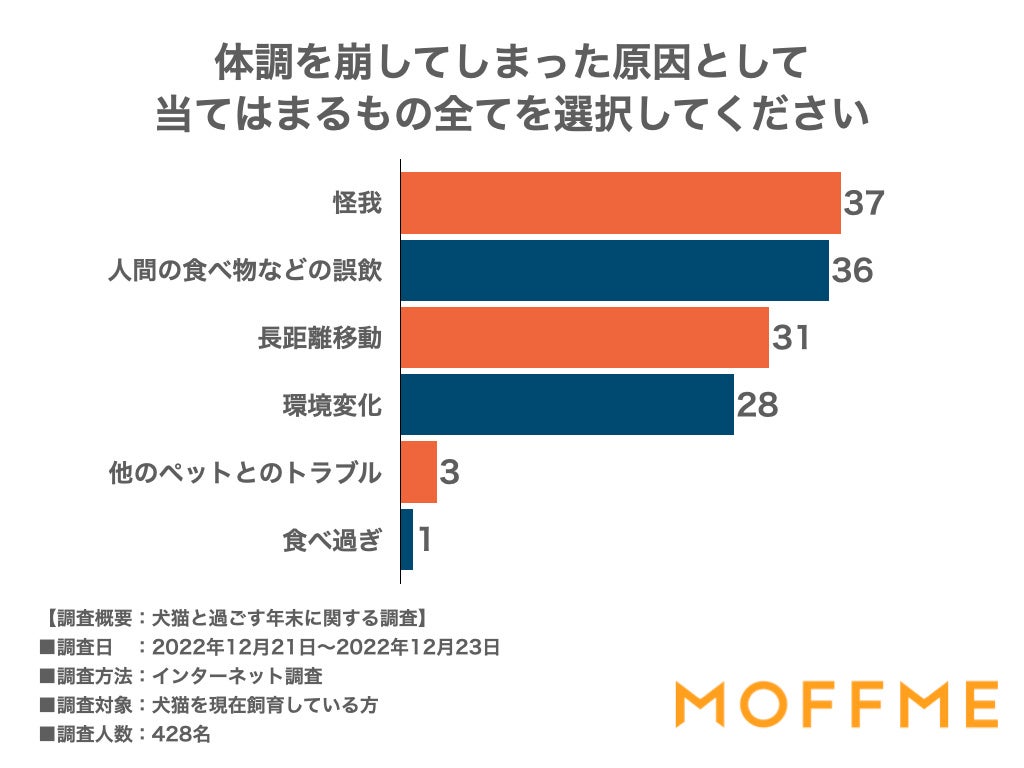 年末、ペットとの特別な過ごし方第一位は「いつもより豪華がおやつをあげること!」犬猫の飼い主428人に聞いた意識調査を公表します。のサブ画像6