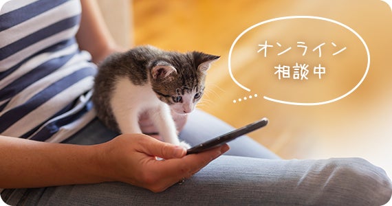 PLUS CYCLEアプリに新コンテンツ『いますぐ獣医師オンライン』を追加！のサブ画像3