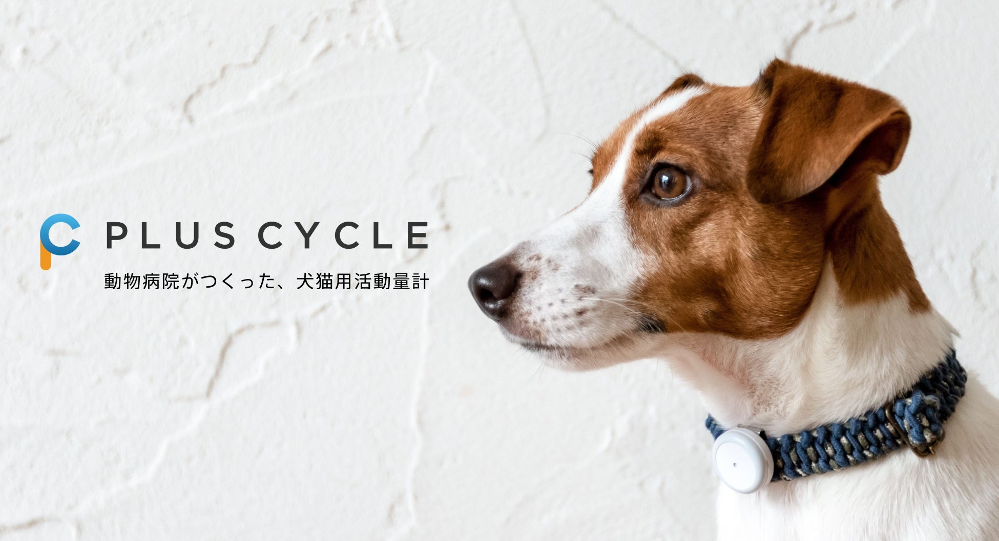 PLUS CYCLEアプリに新コンテンツ『いますぐ獣医師オンライン』を追加！のサブ画像6