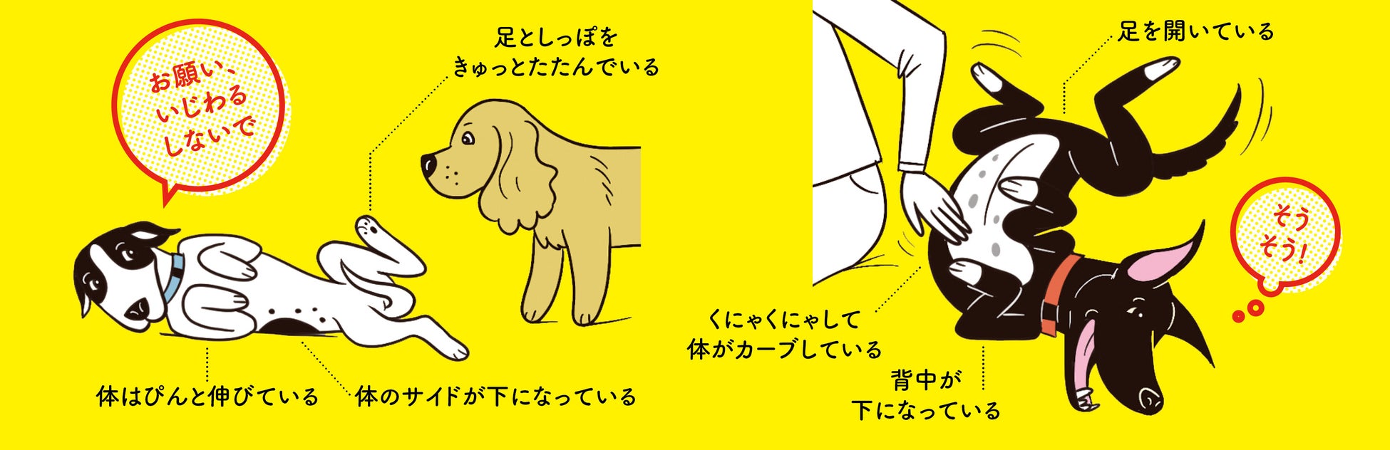 犬のボディランゲージを学んで愛犬ともっと仲良くなろう！『犬語図鑑』が本日12月12日発売のサブ画像2