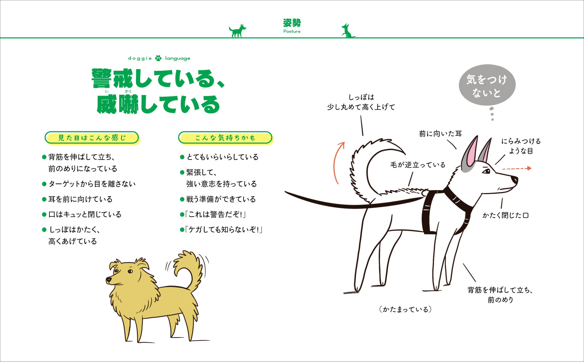 犬のボディランゲージを学んで愛犬ともっと仲良くなろう！『犬語図鑑』が本日12月12日発売のサブ画像4